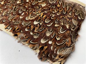 Fjerbånd - brune nuancer, 6 cm